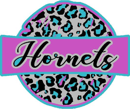 WES Cheetah Print Hornets  Hooded Sweatshirt