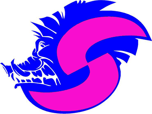 Breast Cancer SHS Packer Pride  Shirts