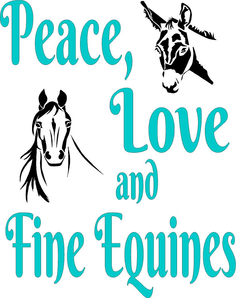 MSIH  Peace Love Hooded Sweatshirt